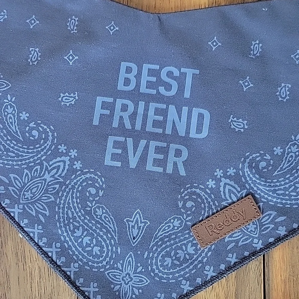 Pet BEST FRIEND FOREVER Bandana Scarf Collar Charm Bundle